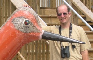 IMG_0341 Observing a Red Knot at the DuPont Nature Center at Mispillion