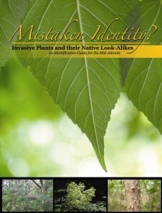 mistaken-id-front-cover mistaken-id-front-cover