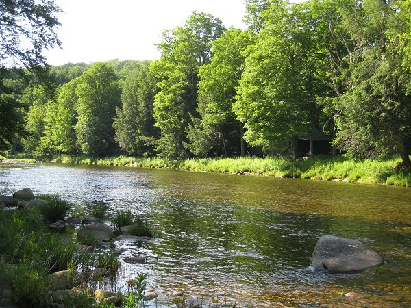 This quiet stretch of river was a favored spot for Common Merganser fishing lessons.  The cabin is visible on the far side of the river among the trees.  Photo (c) 2009 Matthew Sarver