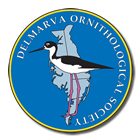 Delmarva Ornithological Society
